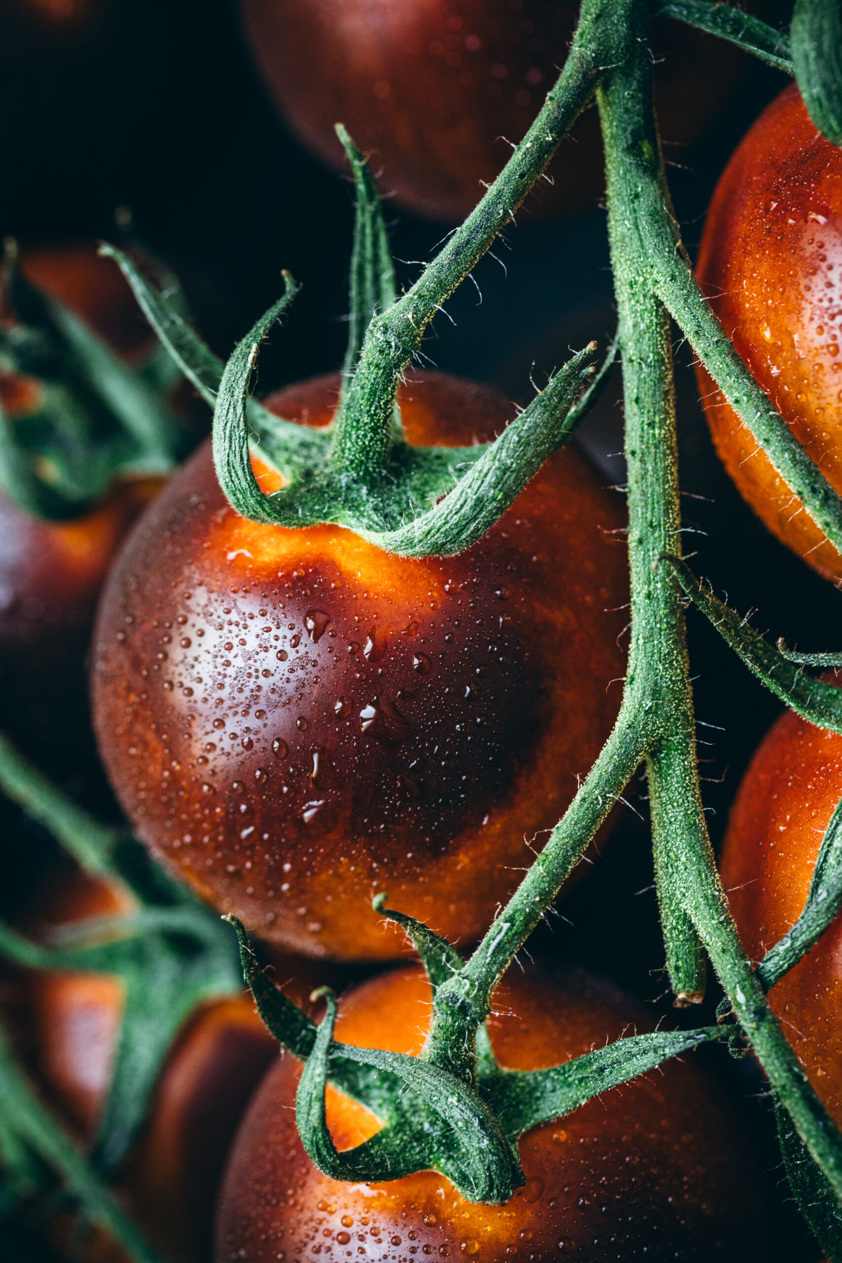 Die Produzenten von ARTEGUSTO wollen Ihre Geschmackssensoren mit jedem Bissen überraschen. Ihre ungewöhnliche Farbe, ihre Größe, ihre knackige Textur und ihr saftiges Fruchtfleisch machen YOOM® zur perfekten Tomate für Salate und Aperitifs oder auch einfach so!