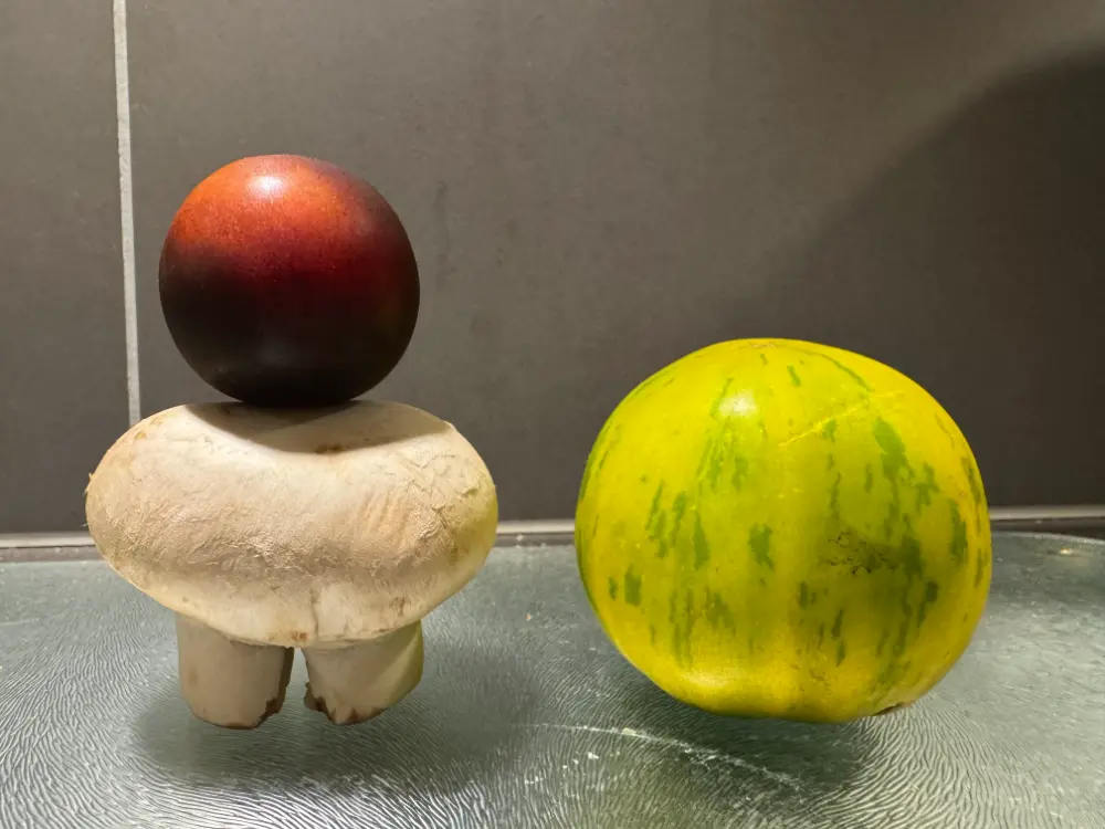 YOOM Fun Challenge Anne-Sophie Lausanne